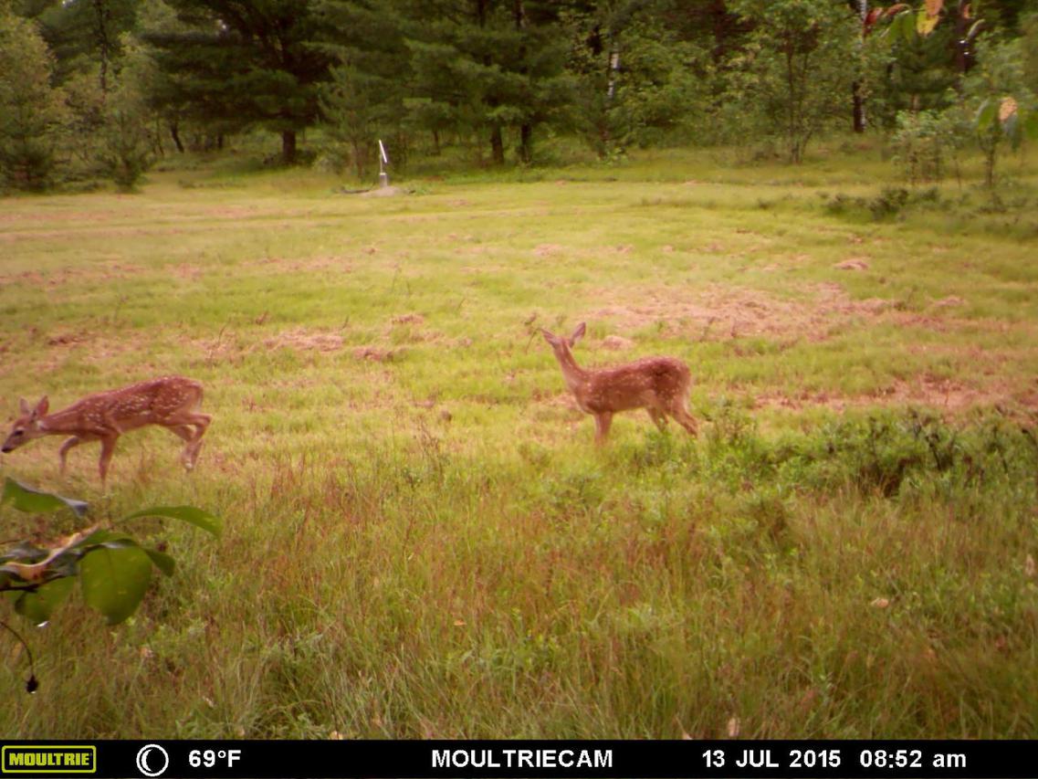 Lot 68&69 Bracken Tr., Wausaukee, WI 54177