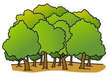 Bridge Rd., Grover, WI 54157