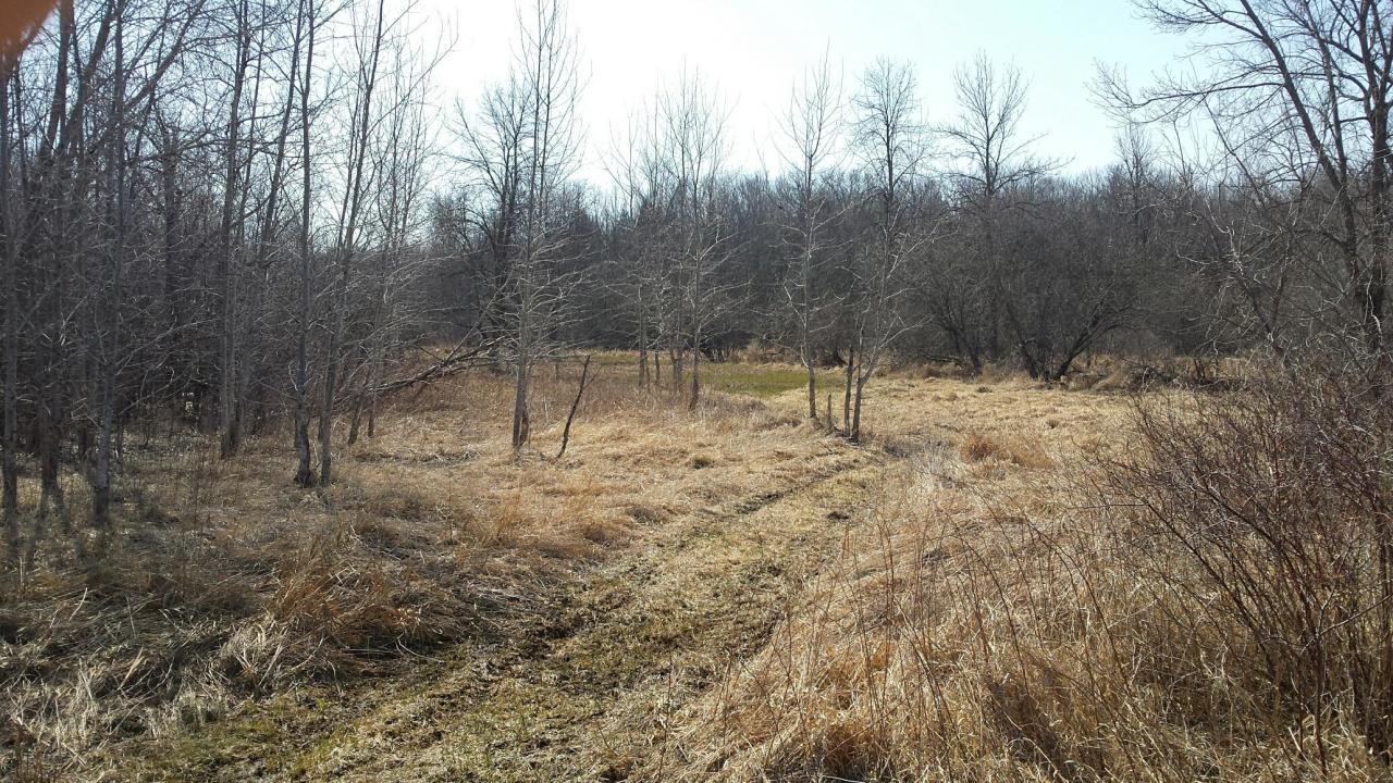 Parcel A Maple Grove School Rd., Little River, WI 54153