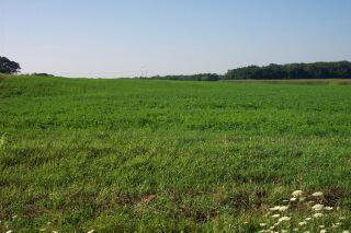 00 Berg Rd., Lima, WI 53190