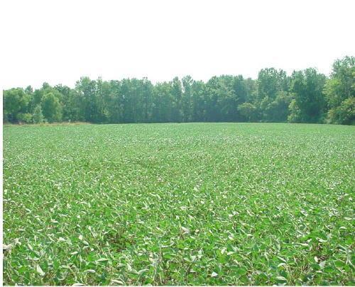PCL1 N. Lisbon Rd., Lisbon, WI 53089