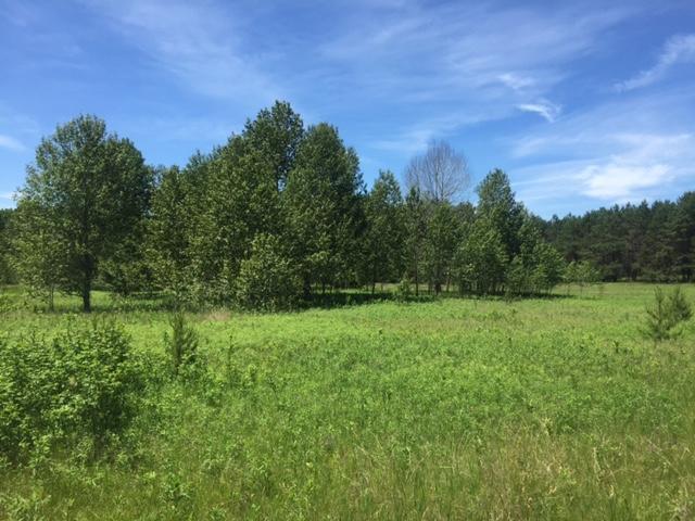 Maple Rd., Wausaukee, WI 54177