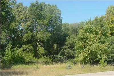 Lt4 Charley Bluff Rd., Milton, WI 53563