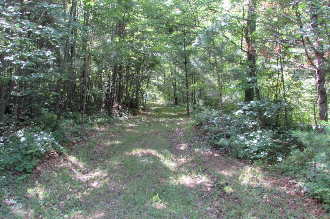 Dumman Rd., Wausaukee, WI 54177