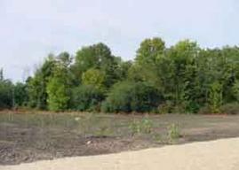 Lt63 W Princeton Dr., Franklin, WI 53132