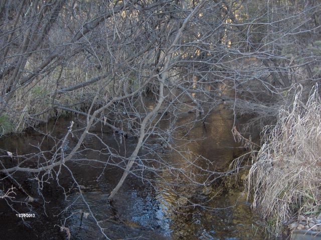 32 Ac. One Mile Rd., Dunbar, WI 54119