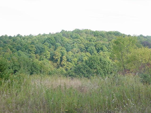 PCL 27&34 Steiner Rd., Clayton, WI 54631