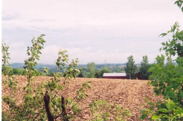 Lt1 Coon Island Rd., Orfordville, WI 53576