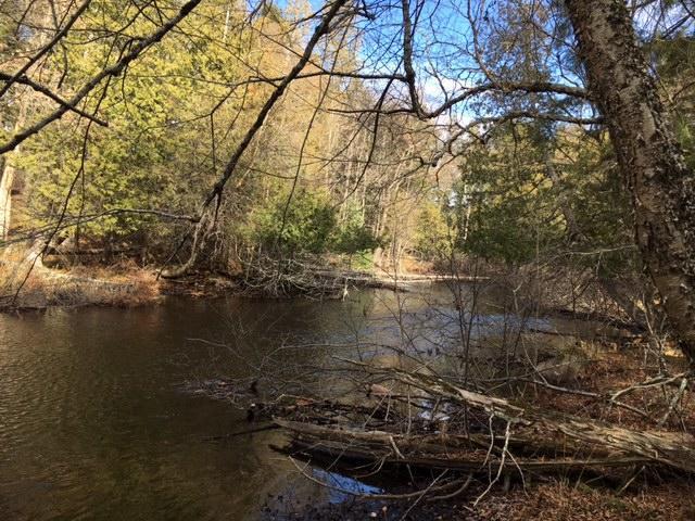 Armstrong Creek Ct S Lot 80, Blackwell, WI 54541