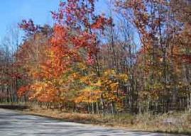 1279 Towhee Tr., Port Washington, WI 53074