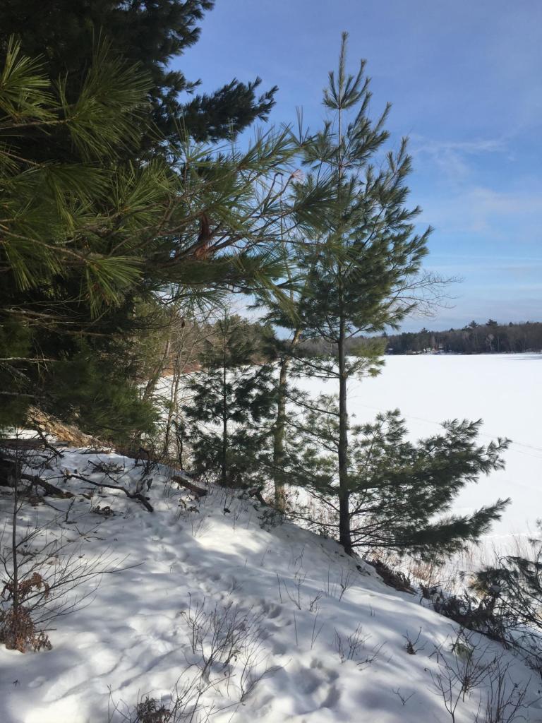Rasmussen Rd., Wagner, WI 54177