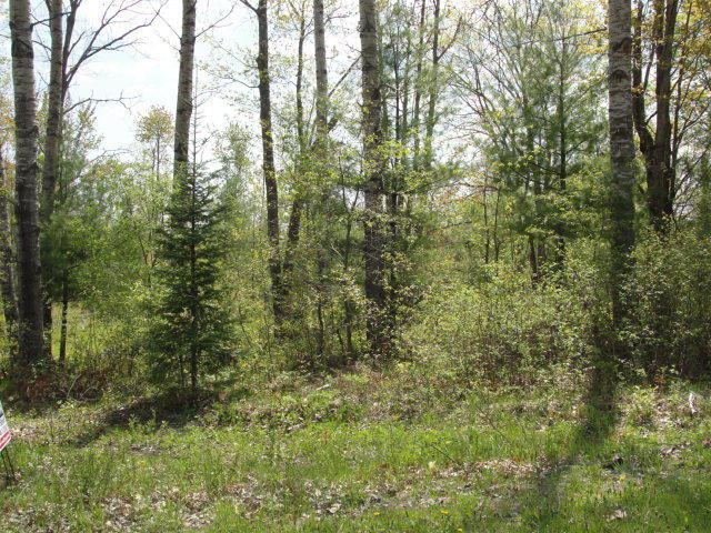 Stevenson Rd., Wausaukee, WI 54177