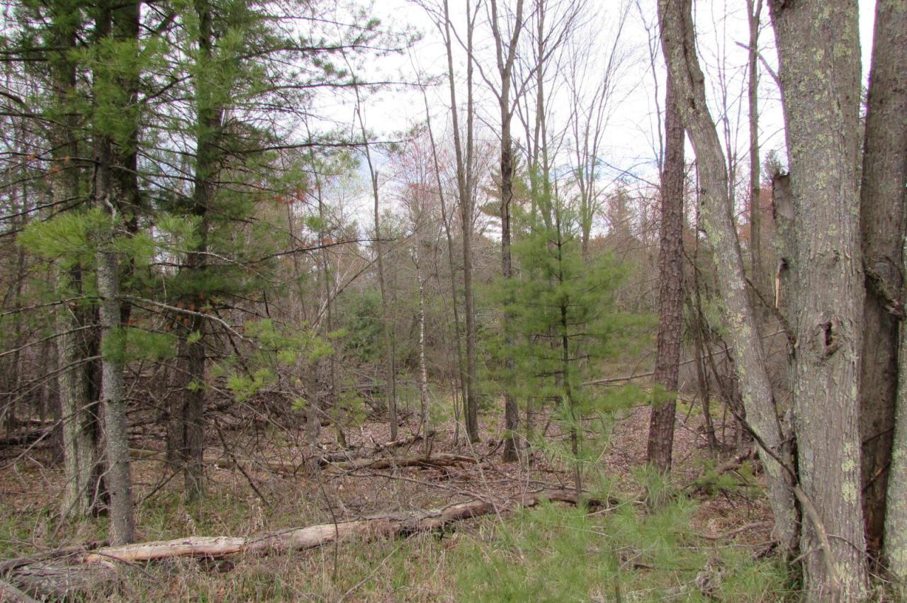 Highway 180, Wausaukee, WI 54177