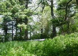 5th Ave., Viroqua, WI 54665