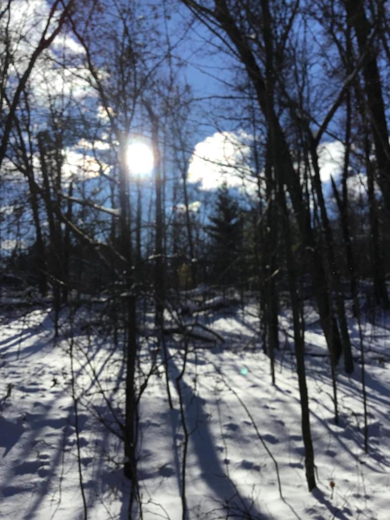 8.18 Acres Haguewood Ln., Beaver, WI 54114