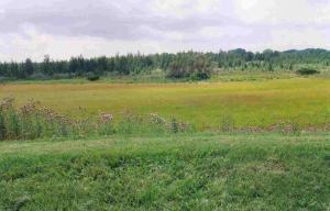 Lt6 Mcmahon Rd, Oconomowoc, WI 53066