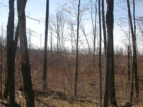 Lt County Road C, Liberty, WI 54245