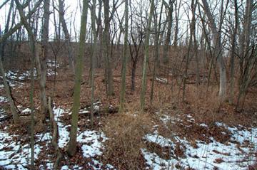 Lt57 Hackett, Whitewater, WI 53190