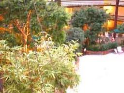 5200 S Tuckaway Blvd. #366D, Greenfield, WI 53221