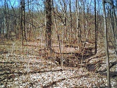 Lt3 Walden Ln., Geneva, WI 53147