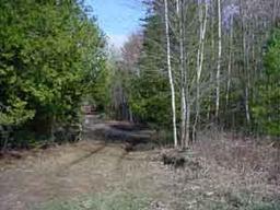 40 acres Red Bank Rd., How, WI 54124