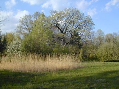 10170 W St Martins Rd., Franklin, WI 53132