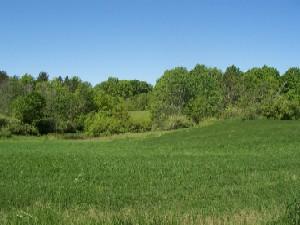 9999 Hickory Dr., Kewaskum, WI 53040