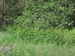 [Address Hidden by Seller], Lafayette, WI 53121