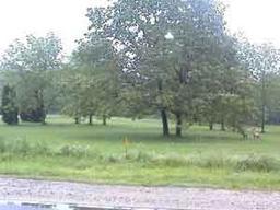 Lt1 N Kettle Moraine Dr., Slinger, WI 53086
