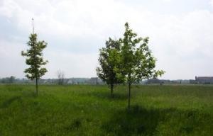 Lt8 Robin Ct. #Pcl1, Cedarburg, WI 53024