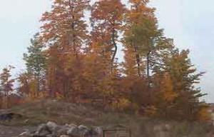 408 Kames Cove, Slinger, WI 53086