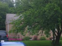 5130 S 113th St., Hales Corners, WI 53130
