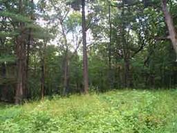 LT3 Lost Creek Dr., Geneva, WI 53147