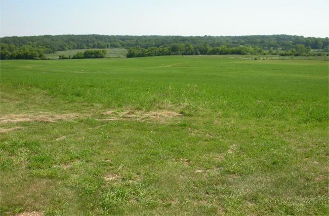 Lt2 Steele Rd., Lyons, WI 53105