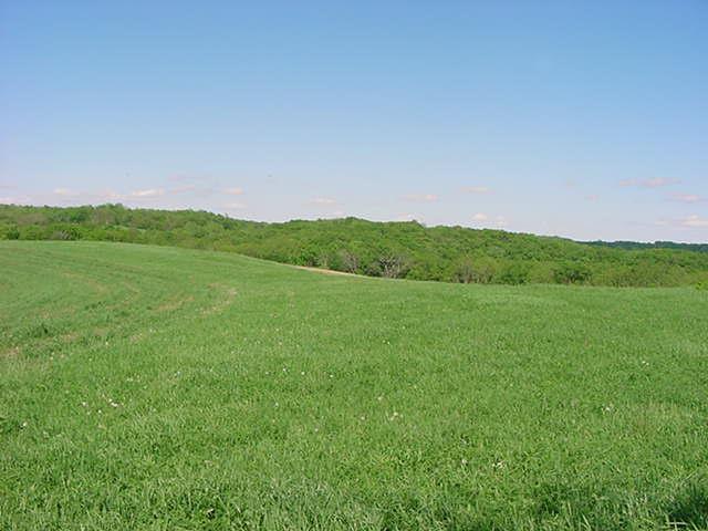 Hayden Rd., Sterling, WI 54624