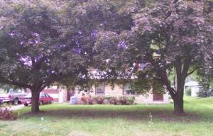 1429 S 167th St., New Berlin, WI 53151