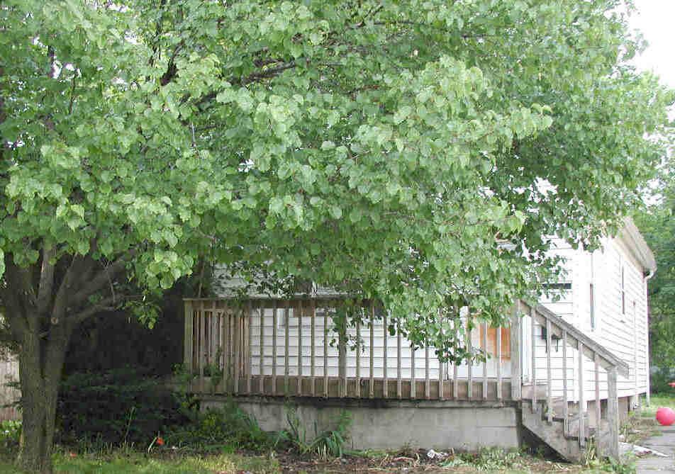 918 48th St., Kenosha, WI 53140