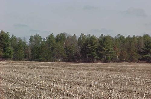 Potter & Hodunk, Lafayette, WI 53121