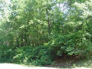 Lt32 Lake Trail Dr., Delavan, WI 53115