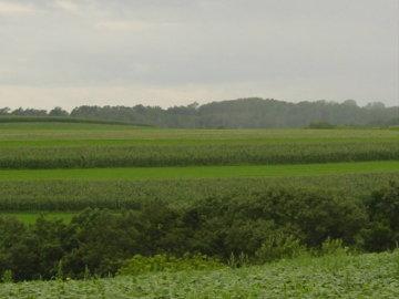 County Y, Leon, WI 54656