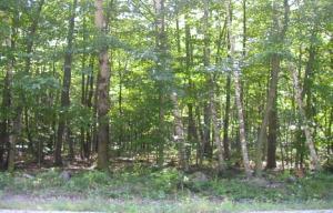 Lot#6 Westwind Rd., Plymouth, WI 53073