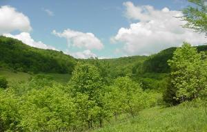 E11902 Tunnelville  Rd., Stark, WI 54639