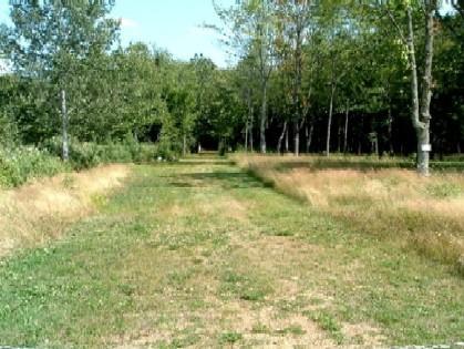 Still Hill Rd., Athens, WI 54426