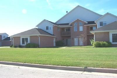 W24129 River Park Dr 8 #N25, Pewaukee, WI 53072