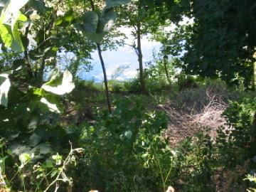 N53W34299 Road Q, Oconomowoc, WI 53069