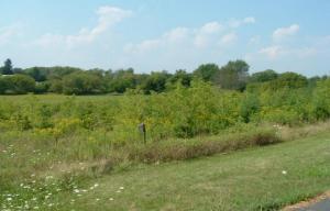 Lt4 Plainview Rd., Lisbon, WI 53089