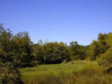 Miller Rd., East Troy, WI 53120