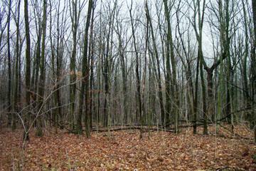 28190 W Hartwig Cir. #S85, Mukwonago, WI 53149