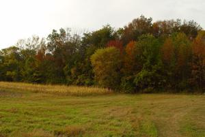 PCL Branch Rd., Plymouth, WI 53073