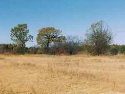 Lt3 Piper Rd., Eagle, WI 53153